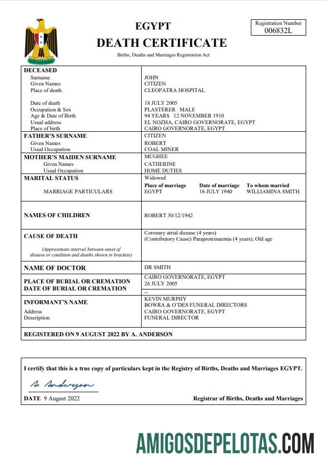 Realista modelo Word e PDF de certidão de óbito de registro vital do Egito